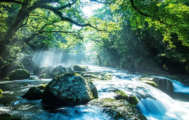 阿蘇外輪山の麓の街、菊池市。