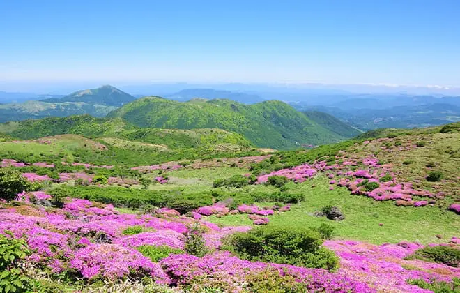 四季折々の自然はまさに神秘。魅力あふれる大分県。