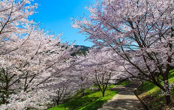 農業や水産業の盛んな佐賀県。