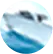 免許の種類