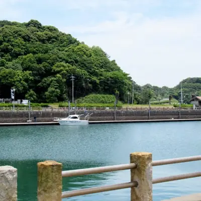 イベント情報